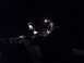 Night Wheelin @ Watson.jpg
